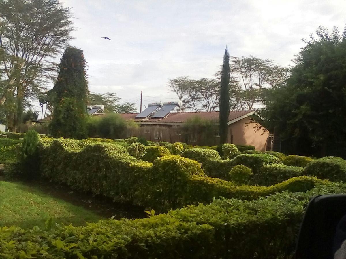 Hippo Safaris Resort Naivasha Exterior foto